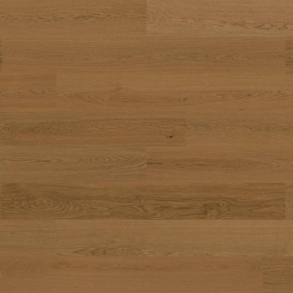 Bjelin S Terra Brown