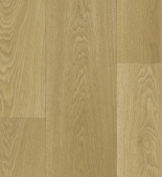 Conquer Beskidy Oak 52