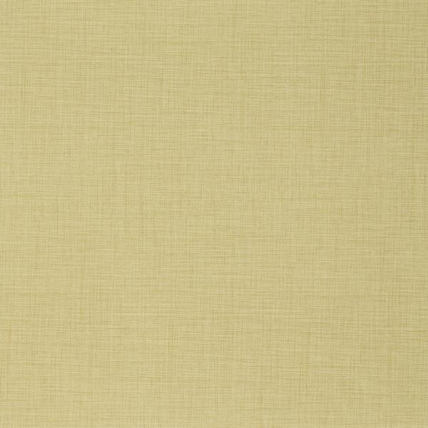 Taralay Impression Acoustic Finesse Paille 1065