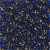 Baltimore Dazzle