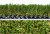 Country Club Fairway Green - Leisure