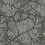 Canopy II Elder 12298