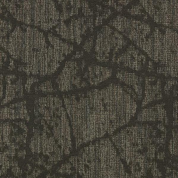 Canopy II Hickory 83163