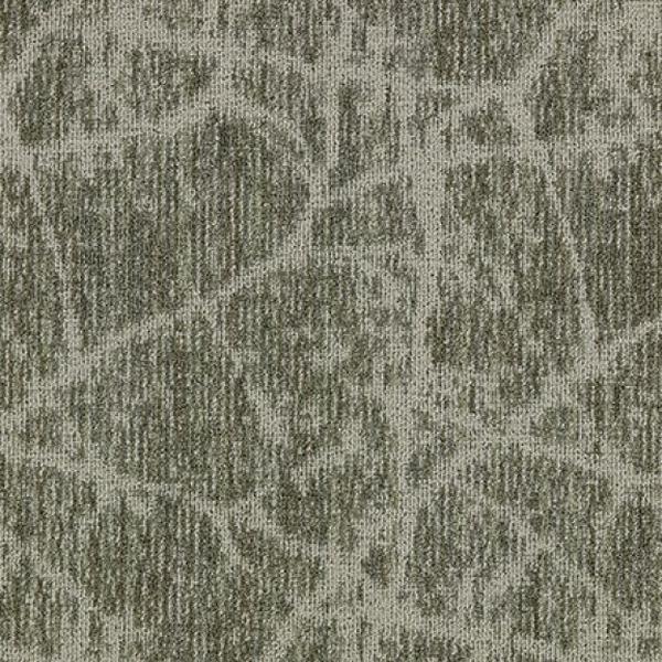 Canopy II Spruce 43288