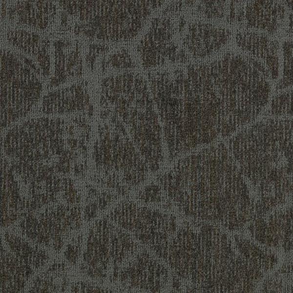 Canopy II Walnut 85294