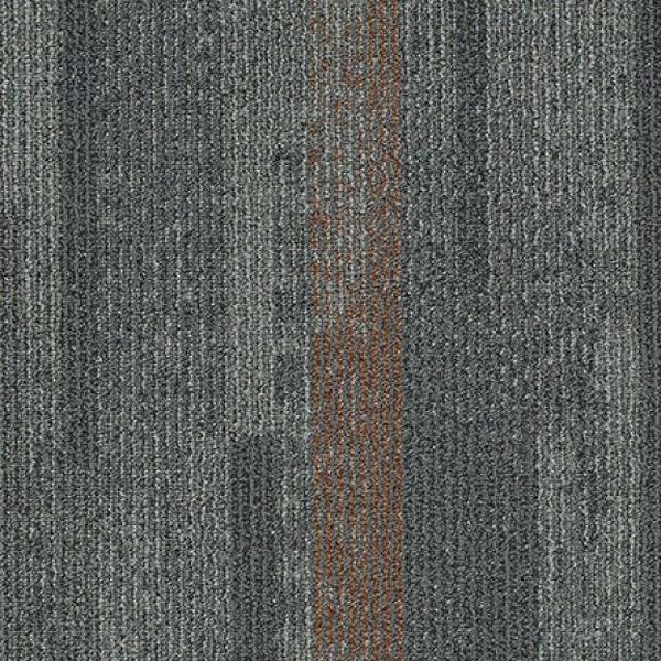 Elevation District 13219