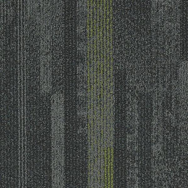 Elevation Metro 14215