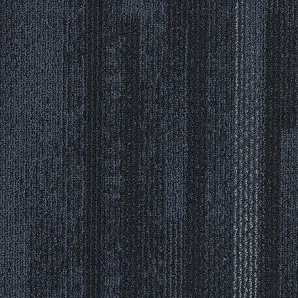 Elevation Ward 35216