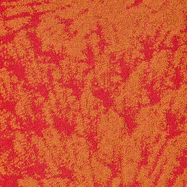 Magnify Security 63014