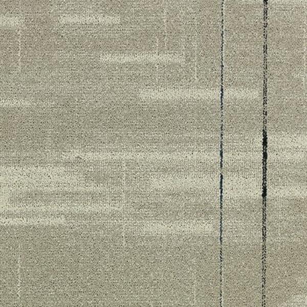 Media  Broadcast 81209