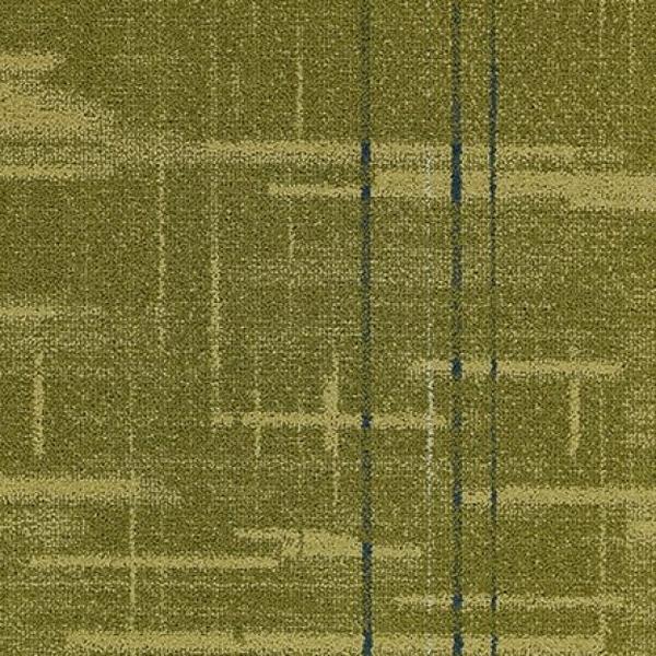 Media  Collective 42207