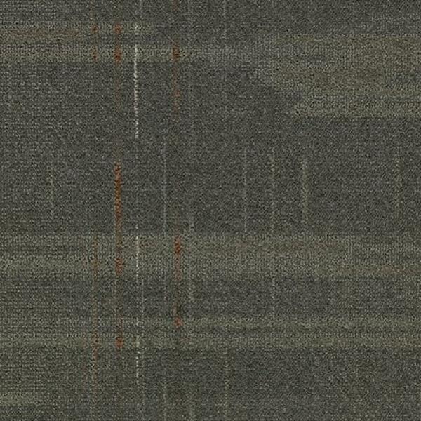 Media  Disclose 13210