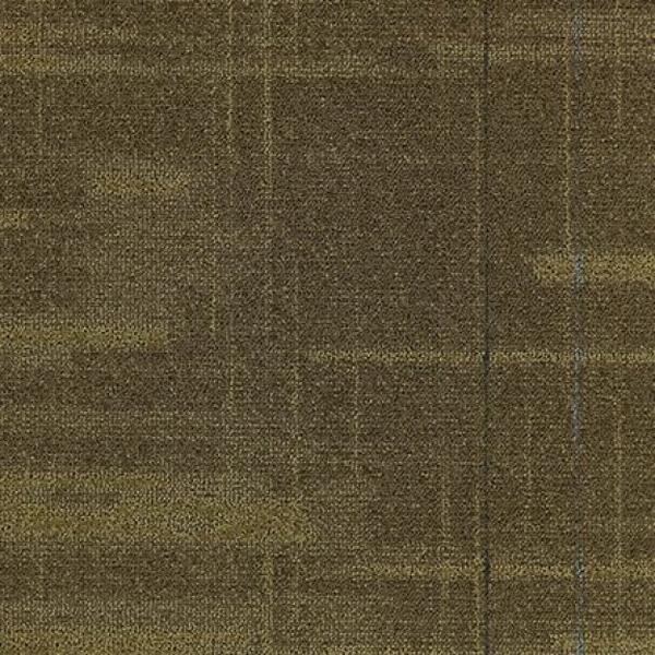 Media  Networked 83198