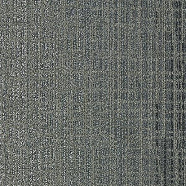 Nashville First Hill 14330