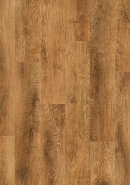 Sunset Oak