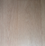 Picasso Oak