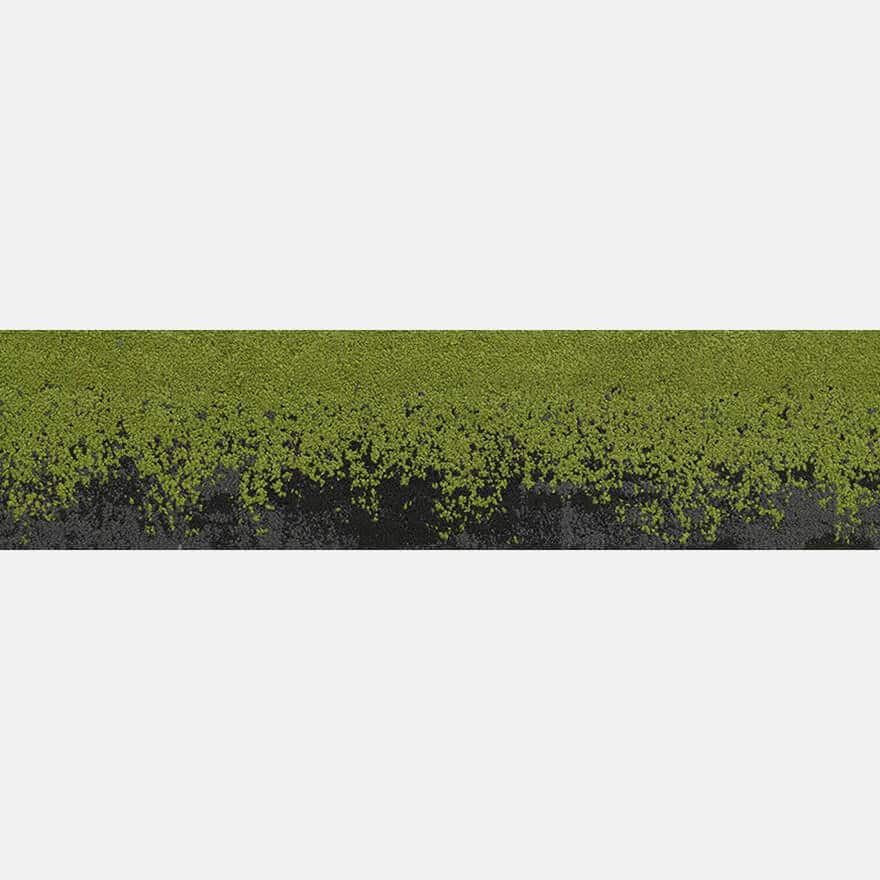 Midnight Green E10244PL