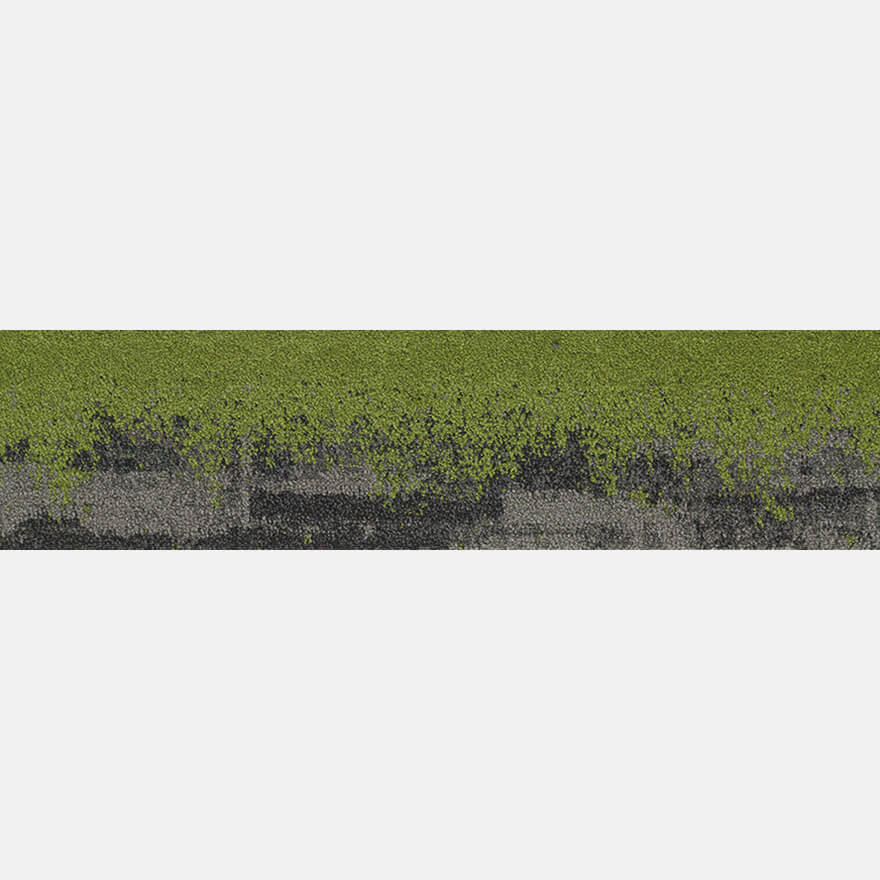 Storm Green E20244PL