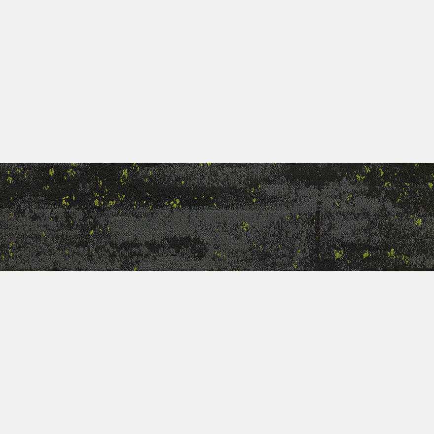 Midnight Green P10244PL