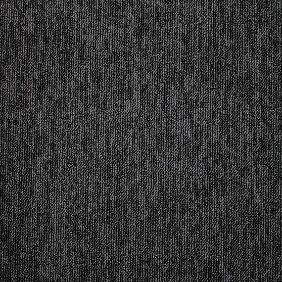 Prominent 4101