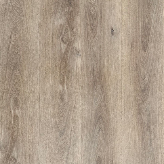 Orford Oak 006