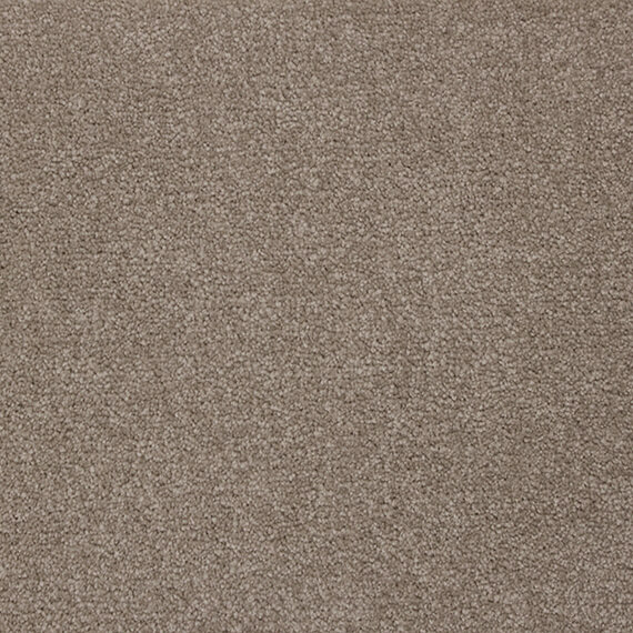 Serov 47