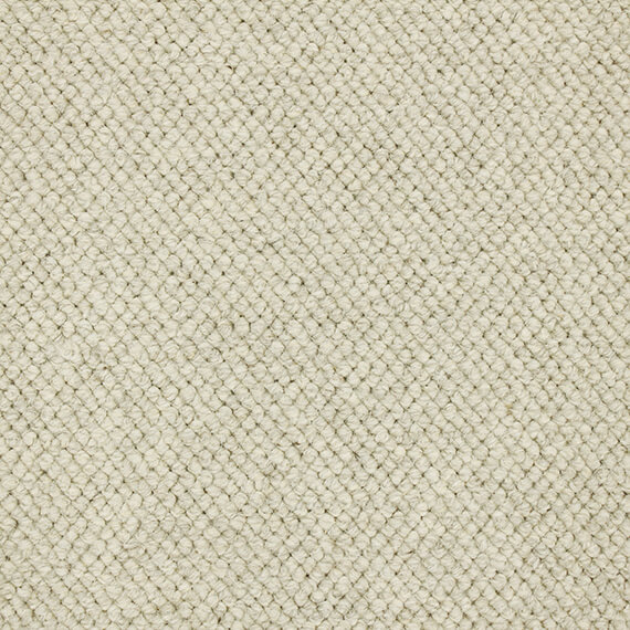 Sesame 101
