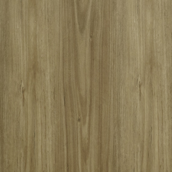 Mount Spotted Gum 17
