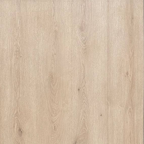 Malabar Oak 01