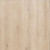 Malabar Oak 01