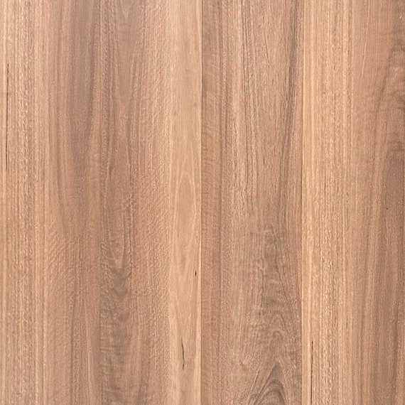 Ellis Spotted Gum 07