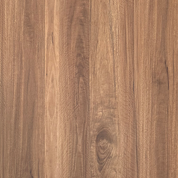 Vivone Spotted Gum 08