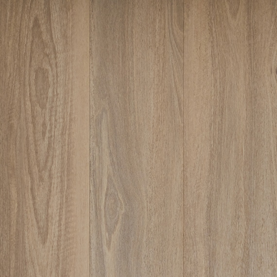 Mallee Spotted Gum 01
