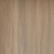 Mallee Spotted Gum 01