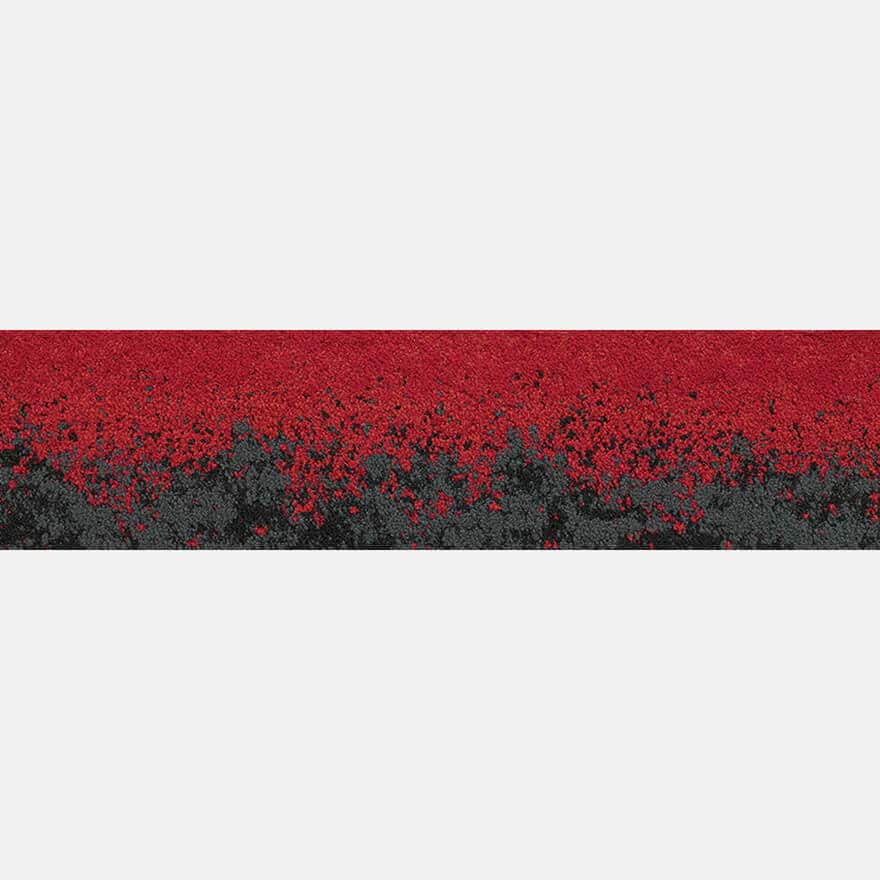 Midnight Red E13586PL
