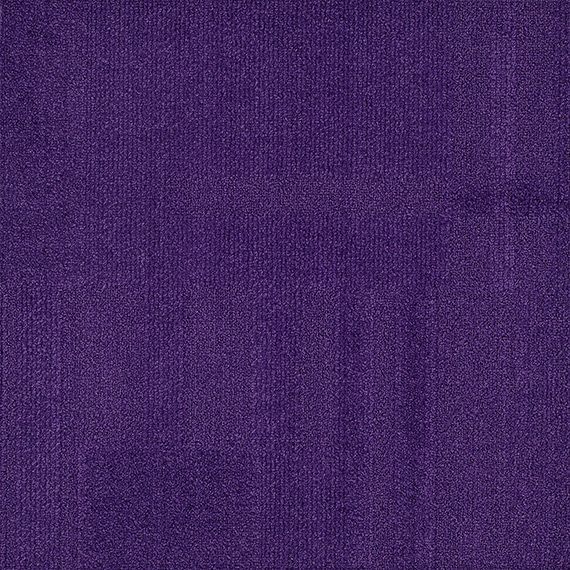 VIVID151-A34 AUBERGINE CUISINE