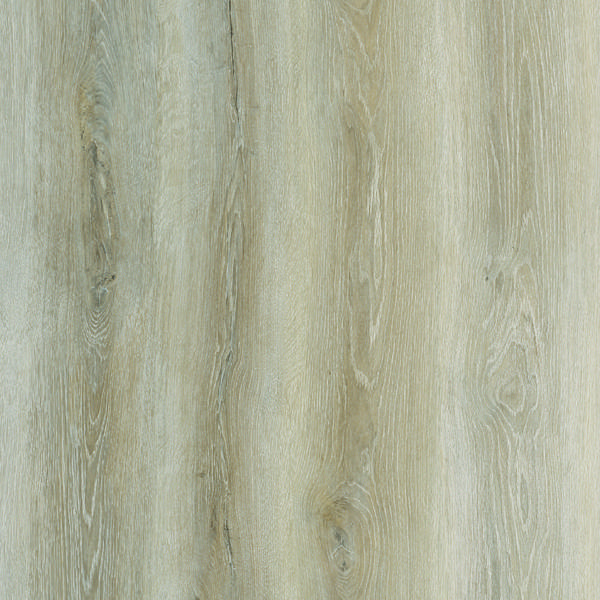 French Oak Bone White