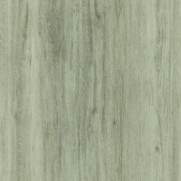 Gotham Oak Ivory