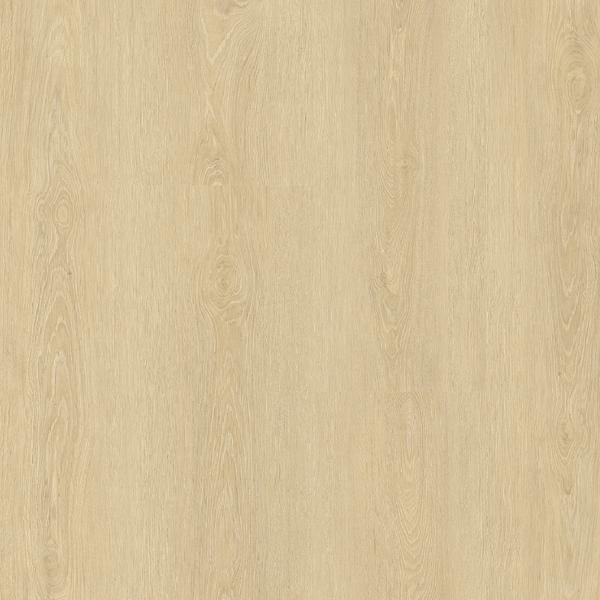 Calatrava Oak
